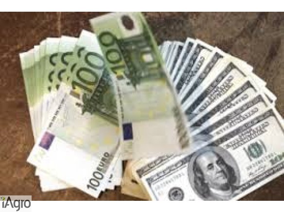 Oferta pożyczki pomiędzy poszczególnymi