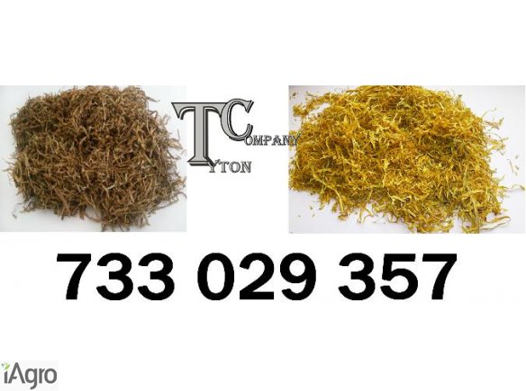 ! Tytoń 1 kg Tylko 79 zł 1 Klasa Jakości Przekonaj Się Sam Zapal i Poczuj Tyton
