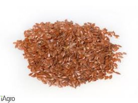 Sprzedam siemię lniane złote i brązowe, bardzo dobra jakość.  Sprzedam: Ostropest, konopie, len, grykę, kaszę jaglaną, gryczaną.   Dostarczam na terenie całego kraju własnym transportem.  502-522-700