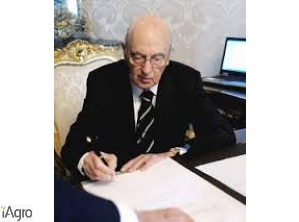 Oferta pożyczki pomiędzy poszczególnymi