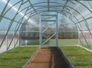Szklarnie ogrodowe - zdjęcie 1