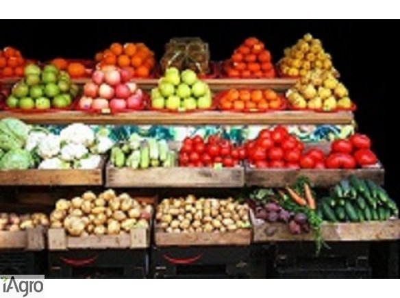 Warzywa owoce - notowania cen