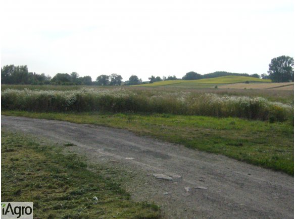 Ziemię rolną sprzedam