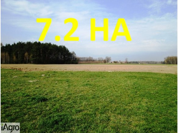 Grunty rolno budowlane 7 hektarów *w jednym kawałku**szerokość 150m*