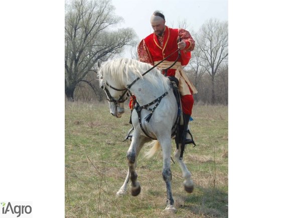 Ukraina.Gospodarstwo rolne,800ha z zabudowaniami.Na sprzedaz,wynajem