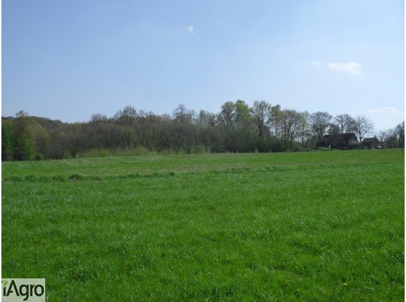 Działka rolna z lasem, 3ha, dobra cena