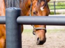 Equisafe - ogrodzenia dla koni - zdjęcie 4