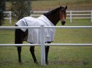 Equisafe - ogrodzenia dla koni - zdjęcie 3