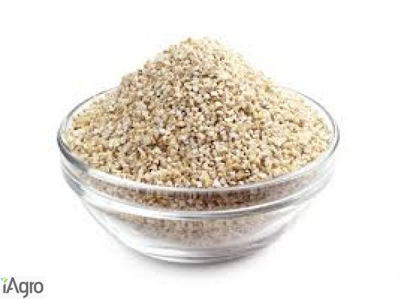 SPRZEDAM KASZE JĘCZMIENNĄ