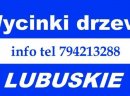 Wycinki drzew , samosiejek woj lubuskie