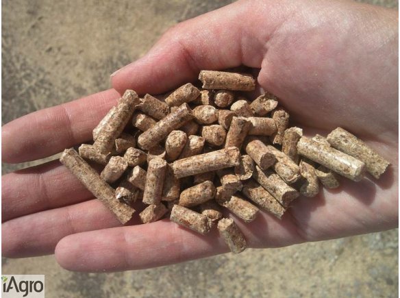 Pellet drzewny jasny DIN +