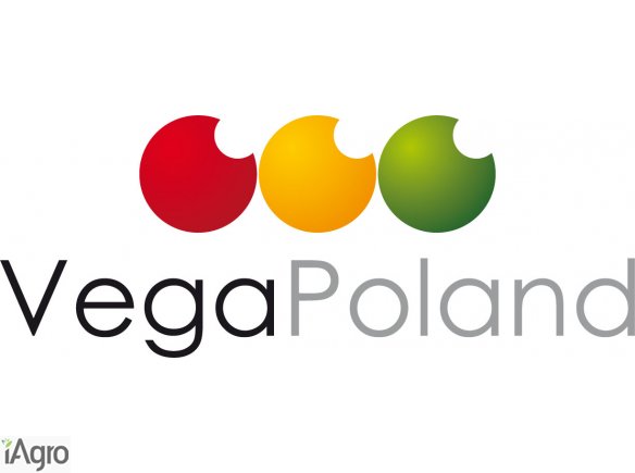 Czosnek Hiszpański bezpośrednio od producenta!! już od 2 palet!!