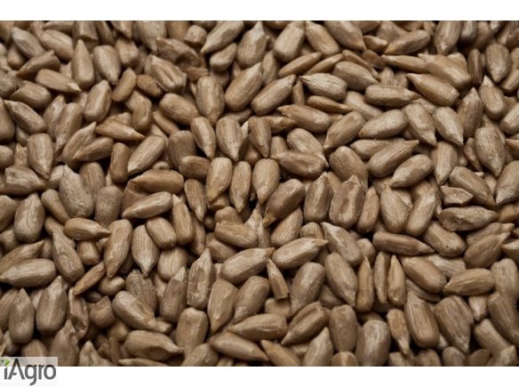 Sprzedam słonecznik obłuszczony!