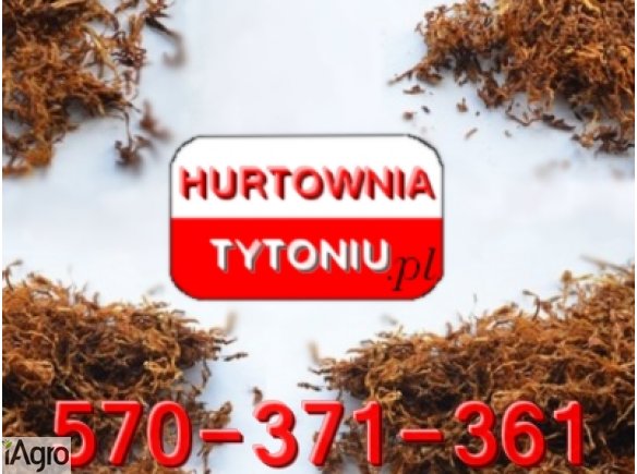 Najlepszy TYTOŃ prosto od producenta! 85zł/kg  *HURTOWNIATYTONIU.PL*