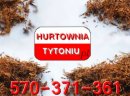 Najlepszy TYTOŃ prosto od producenta! 85zł/kg  *HURTOWNIATYTONIU.PL*