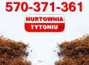 *HURTOWNIATYTONIU.PL* TYTOŃ *85zł/kg* Marlboro, Route66, Virginia, Chesterfield, L&M