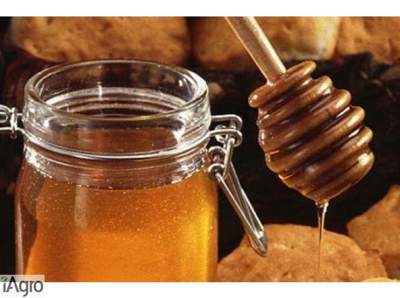 Ukraina.Gospodarstwa pszczelarskie i pasieczne.Miod,ule,propolis,wosk,mleczko pszczeli