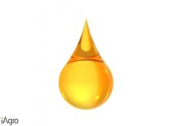 Kupię olej rzepakowy - CDRO - DIN51605