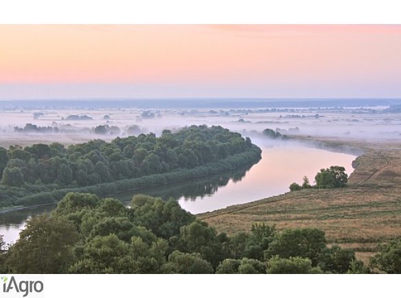 Ukraina.Grunty rolne,sady orzechowe,plantacje roslin jagodowych od 150 zl/hektar