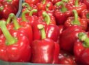 Papryka z Almerii (Hiszpania) - zdjęcie 3