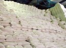 Ukraina.Produkcja cukru spozywczego.Melasa jakosciowa 350 zl/tona,wyslodki suszone od 170 zl/tona