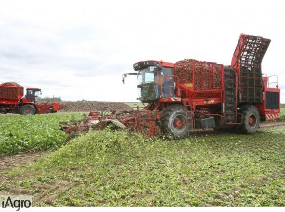 Ukraina.Gospodarstwo rolne 800ha z duza baza produkcyjna.Sprzedaz,wynajem