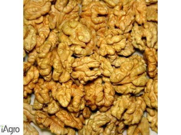 Orzech włoski z Ukrainy.