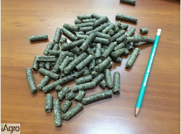 WYSŁODKI BURACZANE ZWYKŁE SUCHE