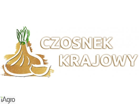 Sprzedam Czosnek Polski 