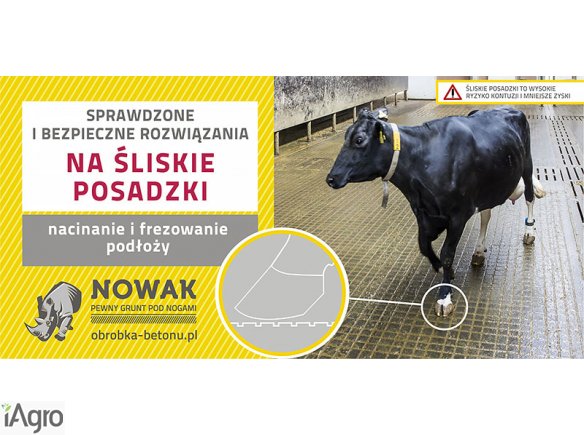 Uszorstnianie, nacinanie, frezowanie posadzek w oborach!!!!