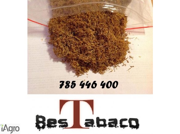 Niewiarygodna Jakość Tytoniu Wreszcie Za Niską Cene! Tytoń Idealny Tyton