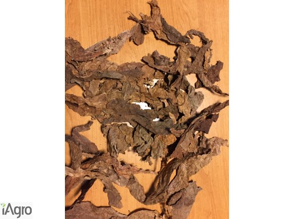 LIŚCIE TYTONIU RĘCZNY STRIPS