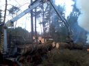 Przyczepa leśna Weimer  z HDS 10 ton - zdjęcie 3