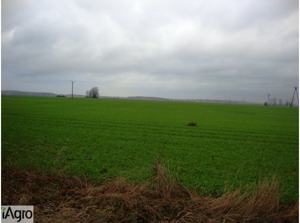 Grunty rolne 11 ha okolice Ełku