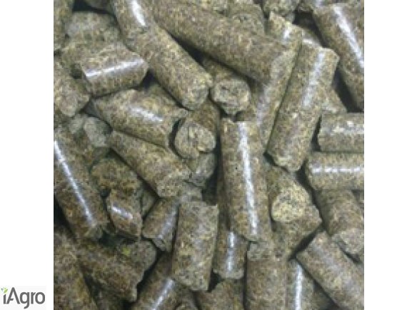 ŚRUTA SŁONECZNIKOWA