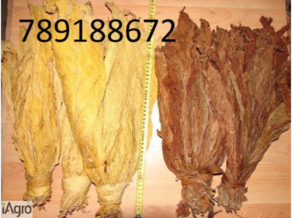 Liście Tytoniu Virginia Burley Mocny Skroniowski Każda ilość !!