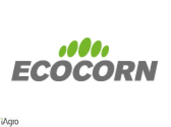 MŁÓTO BROWARNIANE SUSZONE