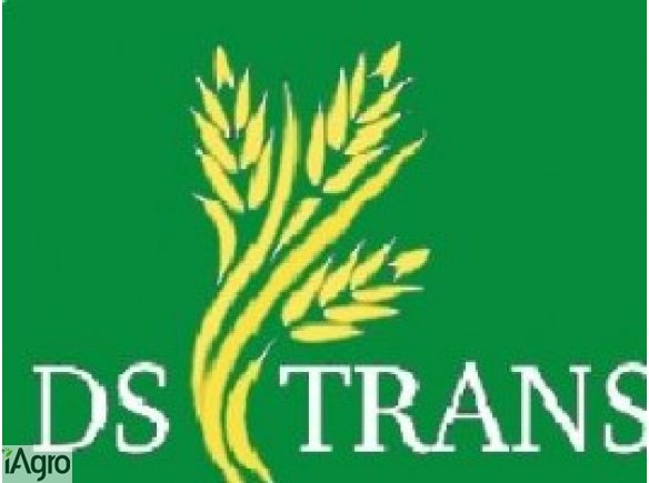 Kupię kukurydzę,pszenicę paszową, jęczmień,pszenżyto