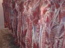 SPRZEDAŻ MIĘSA CIELĘCEGO !!