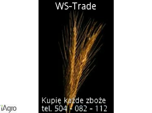 Kupię zboża