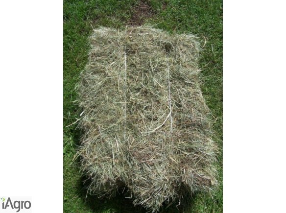 SIANO W KOSTKACH 2014 DUŻE ILOŚCI