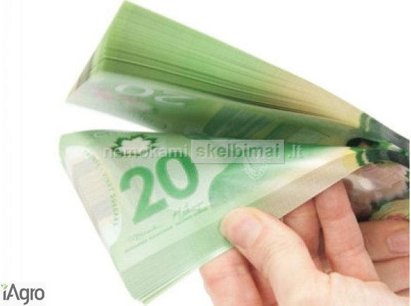 Oferta pożyczki pomiędzy szczególności a osobą o dobrym charakterze moralnym