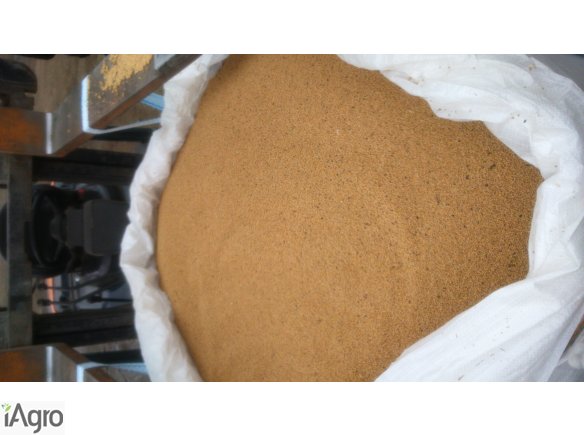 Sprzedam: Biała gorczyca 22 tony, gruba, z Rosji