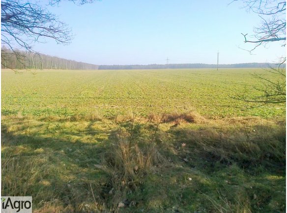 Grunt o pow. 39,1 ha w jednym kawałku.