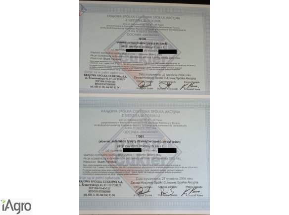 Sprzedam 31067 akcji KSC po 1.25zł/szt - OKAZJA - PILNE