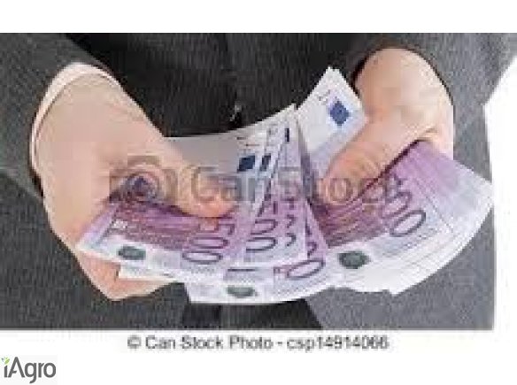 Pożyczki Bez Weryfikacji