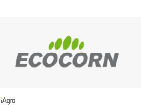 MŁÓTO BROWARNIANE SUSZONE