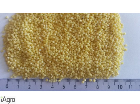 Kasza jaglana, groch obłuszczony, popcorn