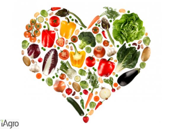 HURT czystek spirulina ostropest chia babka płesznik jajowata TANIO