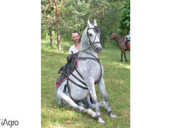  Ukraina.Pasieka,stadnina koni,targ rolny,domy drewniane.Szukamy partnerow do budowy osrodka turystycznego.Czernihowski obw.Kompleks rekreacyjny,osrodek rybolowstwa w Pushkariach zalozony w latach powojennych i nalezal do bylego Panstwowego Gospodarstwa R